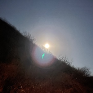 博客助手的頭像